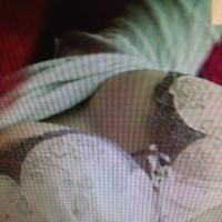 /photo/651248/我的照片/我的照片 010_1_1_small.jpg